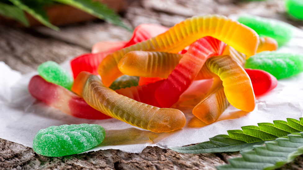 Purchase The Best CBD Mood Gummies To Enjoy A Stress Free Life